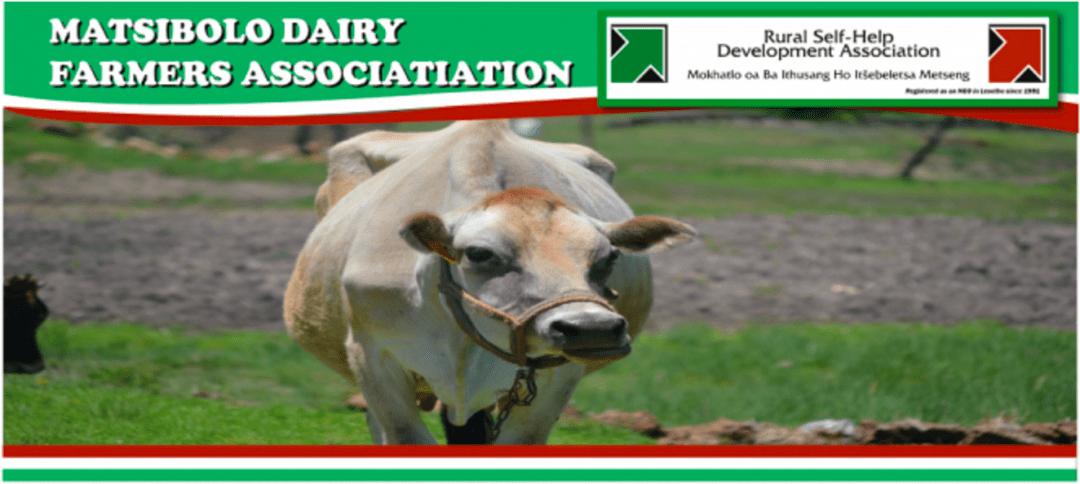 matsibolo diary famers