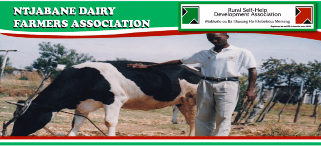 ntjabane diary famers association